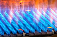 Kinton gas fired boilers